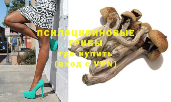 стаф Бронницы